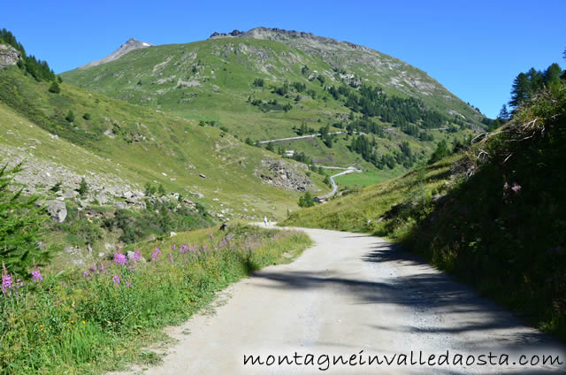 rifugio bezzi